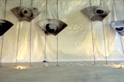 installation ultraschall, werkhalle überligen 1998